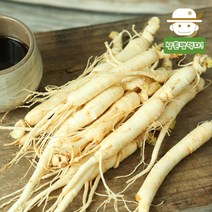 삼촌밥먹자 [산지직송] 금산 삼계탕갈비탕용 인삼 750g 인삼/한차재료>>인삼, 세척(중)700g/30-40뿌리내외” class=”wr-img”></a></div></p></div></p></div></p></div><div class=