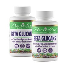 파라다이스허브 베타글루칸 아가리쿠스 버섯 비건 60정 Paradise Herbs Beta Glucans, 2개