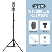 팔로우캠 360도 회전 전자동 스마트폰 안면인식 디더링 동영상 촬영 및 카메라 촬영기, 옵션14