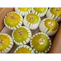 아삭아삭 달콤한 창원 태추단감 5kg (당도 15brix이상), 1, 2L사이즈 특대과 (18-20)