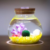 미니가든 LED 조명어항 원형라이트(대) 마리모 DIY 세트, 1. 투명, 1개