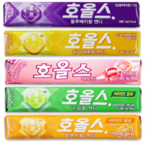 호올스 과일맛 세트 자몽 + 허니레몬 + 블루베리 + 라임 + 오렌지 / 와다닥 증정