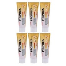 Hi Well 하이웰 뉴질랜드 프로폴리스 티트리 치약 100g 6팩