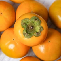 산지직송 창원단감 햇 단감 3/5kg, 05_ 창원단감 5kg (29-31과)