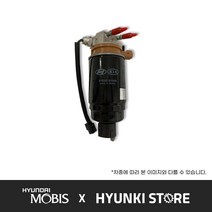 현대모비스 순정 연료필터 (31911H1800), 1개