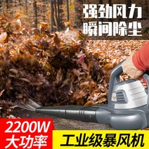 무선송풍기 낙엽청소 세차블로어 Youlefu 먼지 송풍기 헤어 드라이어 가정용 컴퓨터 고전력 집진기 소형 산업용 강력한 제거, [12] 3800W 폭풍 팬  30미터 라인