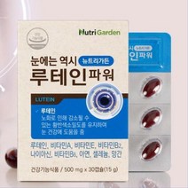 청소년 피로한 눈 관리 루테인 비타민 영양제 루테린 눈건강 황반색소 각막변성 중년 효도선물 황반밀도