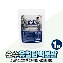 WPC WPI 고단백질 프로테인 분말 여자 남자 운동 전 미국 직수입 웨이 프로틴 섭취 벌크업 먹는 가루 추천 WHEY 농축 유청 단백질 보충제 파우더 여성 남성 헬스 벌크 쉐이크, 농축유청단백질보충제 x1봉