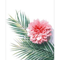 리빙듀오 DIY 쉬운 명화 유화그리기 세트 A-242 카네이션 아트 40 x 50cm