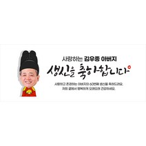 이벤트버스 [직사각형 현수막] 어르신 생신 칠순 환갑 팔순 잔치 현수막, 아바마마생신 A856