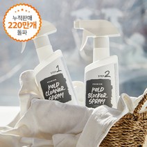 에코후레쉬 프리미엄 곰팡이제거 2종세트(제거제+항균제), free