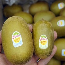 제스프리 골드 키위 점보 그린 뉴질랜드 1.1kg, 점보1.1kg