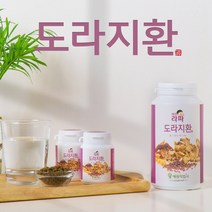 도라지환(460g)1통 + (90g)통 환절기기관지관리 감기예방 면역력강화 알레르기성 비염완화, 1개