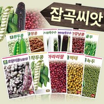 다농 콩 팥 녹두 감자 잡곡류 옥수수 종자 씨앗모음전, AR12=삼다찰조씨앗30g!