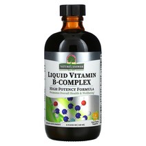 네이쳐스앤서 리퀴드 비타민B 콤플렉스 탠저린 240ml, 1개