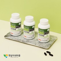 징코햇살 100캡슐 감마리놀렌산 은행잎 블랙커런트 병풀 코엔자임큐텐 레시틴 함유 콜레스테롤 순환제 햇살이네마을, 1통