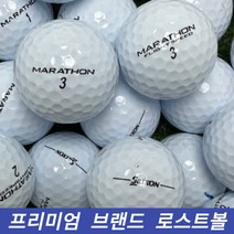 타이틀리스트 캘러웨이 볼빅 던롭 스릭슨 브랜드 모음 흰색 형광색 로스트볼 골프공, 일반브랜드 컬러 A.A- 10알