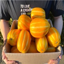 성주 못난이 참외 산지직송 2kg 2.5kg 3kg 5kg, 3kg(혼합)
