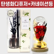 탄생화 디퓨저 선물 세트 7월 탄생화 라벤더 +카네이션 무드등 어버이날 부모님 엄마 생신선물 프리저브드 플라워 선생님 생일 집들이 선물 실내 디퓨저 실내 방향제 디퓨져, 레드, 300ml