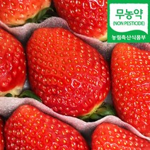 (자연마을) 고령 고당도 무농약 금실딸기 960g (480g*2팩), 무농약 금실딸기 960g (480g 2팩), 2개