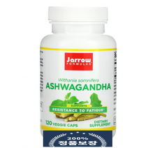 자로우 포뮬러스 아슈와간다 300mg 베지 캡슐 120정, 1개