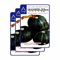 아시아종묘 아시아미니단호박(10립x3)