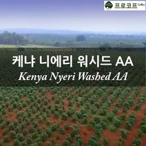 (커피생두) 2022년 뉴크롭 케냐 니에리 워시드 AA, 1kg, 1개