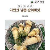 [경동버섯유통 송이 능이]자연산 송이버섯/ 냉동 1pk 냉동송이/L M S 2S 3S C/1kg, L