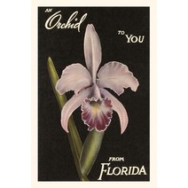 (영문도서) Vintage Journal Orchid from Florida Paperback, Found Image Press, English, 9781669518860