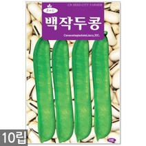 양파 씨앗 500립 - 씨 양파씨앗 양파씨 골드양파 채소씨앗 채소씨 노란양파 주말농장 텃밭, 18_백작두콩(10립)