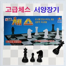 대신전자 고급체스 두뇌와 용기의 싸움인 서양장기 가족게임 세트
