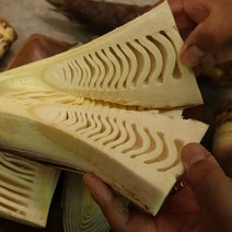 국내산 햇죽순 죽순나물 생죽순 죽순 5kg 10kg, 푸띠 생죽순 10kg, 1개