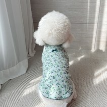 그루밍독 반려동물 그래니 할미 내복 티셔츠, 블루