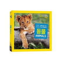 내셔널 지오그래픽 키즈: 동물(빅북):블루래빗 키즈 디스커버리, 블루래빗