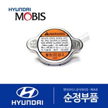 아반떼XD 순정 라디에이터 캡 뚜껑 (2000-2006)