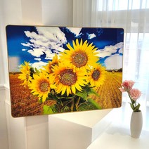 쿠칭아일랜드 가장큰 돈벼락 재물가득 부자되는 골드액자 돈나무액자 60x80cm, 부자액자해바라기