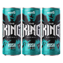 핫식스 더킹 러쉬 355ml, 20캔