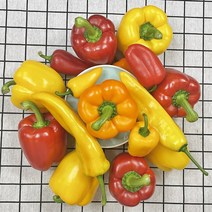 국내산 파프리카 미니파프리카 바나나파프리카 빨간 노랑 주황 피망, 바나나파프리카 1.5kg