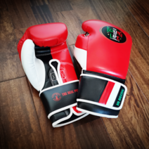 그랜트글러브 8온스 권투 복싱 글러브 NoBoxing NoLife, 02 10oz, 10 5층복합라텍스속싸개 레드블랙