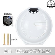 DK 오토바이용품 리어백 탑박스 가방 헬멧 수납함 BL2, 빅사이즈 백팩 7세대 테일박스-화이트