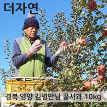 경북 영양 꿀부사 사과 가정용 10kg 25-28과, 단품