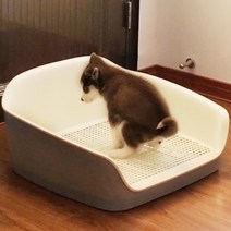 싱푸리 소변판 대형 논슬립 깔판 배변패드 훈련 매트 기둥, 오버사이즈 블루 + 변기 (수집 추가 구매 2