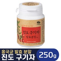 진도발효구기자