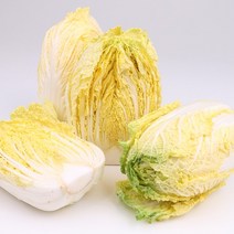 알배추 12포기 8kg내외 팔팔마켓 알배기 채소 쌈 배추, kg