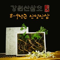 국산 강원도 무농약 산양산삼 8-9년근 산삼주 장뇌삼먹는법, 1세트, 산양산삼 8-9년근 (7주)