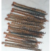 국내산 제주산 자연산 건조 말린 지네 오공 50마리 / 100마리, 인도네시아산 100마리
