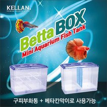 켈란 베타박스&구피부화통[K-059] 베타칸막이 + 구피 부화통, 1개