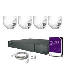 IP카메라 펫CCTV 녹화기 200만 자가설치 세트 D4, 3TB