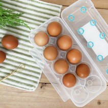 ESB708152씨밀렉스 계란 신선 트레이 보관함 10구, KDM 1