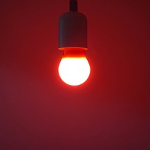 호강조명 LED 인치구 미니전구 5W E26, 적색, 1개